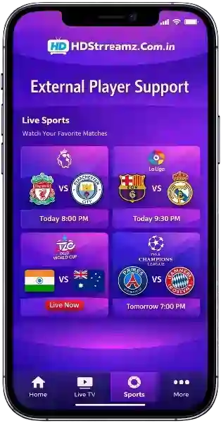 Sokongan Pemain Luaran